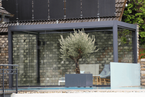 Elegante Pergola mit Glaswänden und Olivenbaum im Innenraum